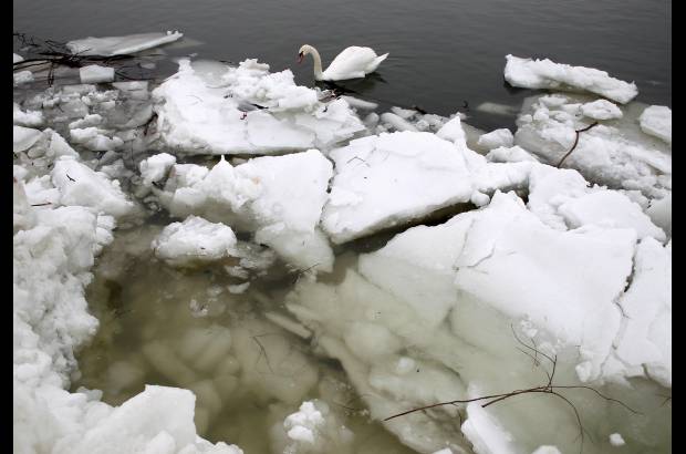 Reuters - En el vecino Montenegro, el ejército estadounidense respondió a una solicitud del gobierno para enviar dos helicópteros Black Hawk para rescatar a personas que están en regiones incomunicadas por la nieve en el pequeño país balcánico, informó la embajada de Estados Unidos.