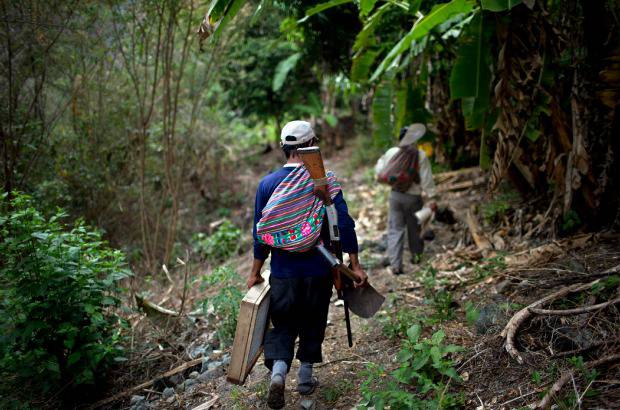 AP - Llegar al lugar es difícil. No hay señal telefónica ni caminos en esta zona suroriental del país conocida como Oreja de Perro, por donde transitan jóvenes quechuas que cargan cocaína en mochilas y también las últimas columnas armadas de Sendero Luminoso.