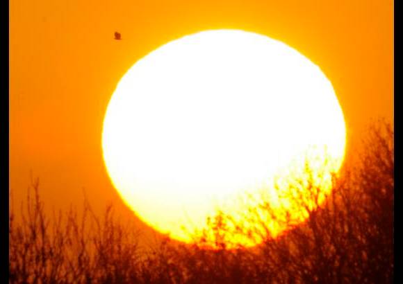 Reuters - El Sol, en todo su esplendor, visto desde la Tierra.