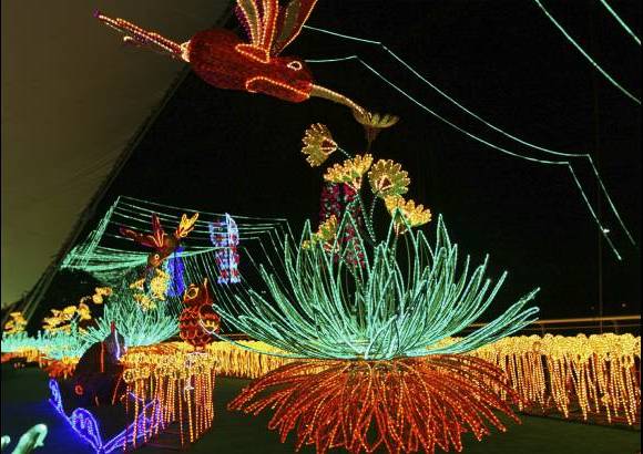 Juan Sebasti&#225;n Carvajal Beltr&#225;n - La diversidad y la riqueza de la fauna y flora del departamento de Antioquia son protagonistas del espect&#225;culo de luz.