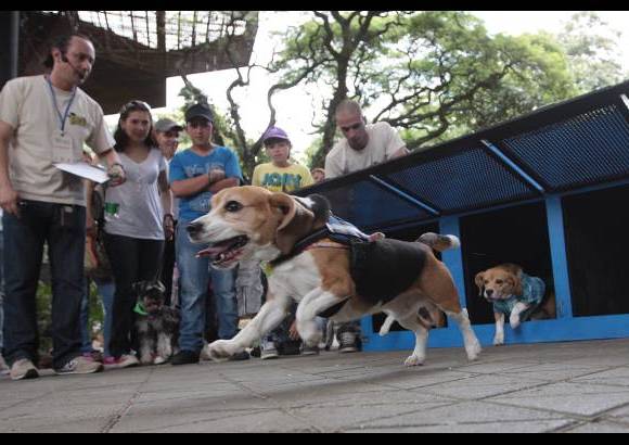 Hern&#225;n Vanegas Ochoa - Encuentro de mascotas en el Jard&#237;n Bot&#225;nico.
