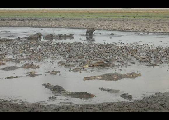 Foto: Heidy Puerta - El funcionario aseguró que también se tienen proyectadas tareas de protección, recuperación de las áreas afectadas, concientización y educación ambiental.