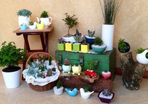 Eukaria Maticas - En un mismo lugar pueden combinarse formas y colores.