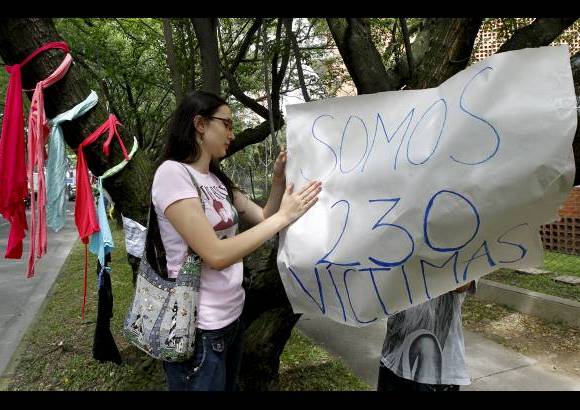 Jaime Pérez - El número inicial de árboles para talar era de 230, pero se bajó a 172.