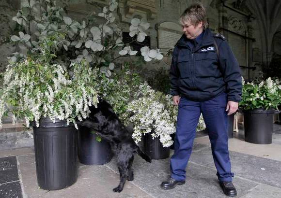 Reuters - Habr&#225; Sellos de Salom&#243;n, una planta de florecillas blancas tra&#237;da de Sandringham, en el condado de Norfolk, que simboliza la confirmaci&#243;n del amor
