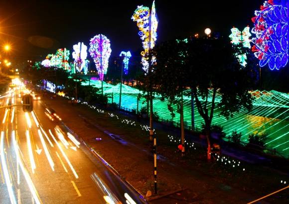 Juan Sebasti&#225;n Carvajal Beltr&#225;n - Naturaleza, vida y luz es el nombre del alumbrado navide&#241;o de 2012.