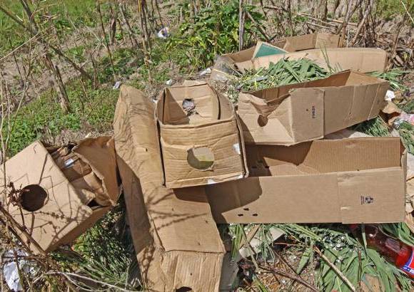 Juan Fernando Cano - Algunas flores fueron traídas de otros lugares del país en estas cajas porque no las producía Santa Elena o porque la cantidad que había no era suficiente para armar la silleta.