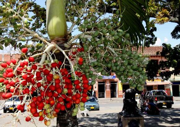 Donaldo Zuluaga - Sopetr&#225;n, cuyo apelativo es Tierra de las frutas, fue fundado en 1616 y se convirti&#243; en municipio de 1814.