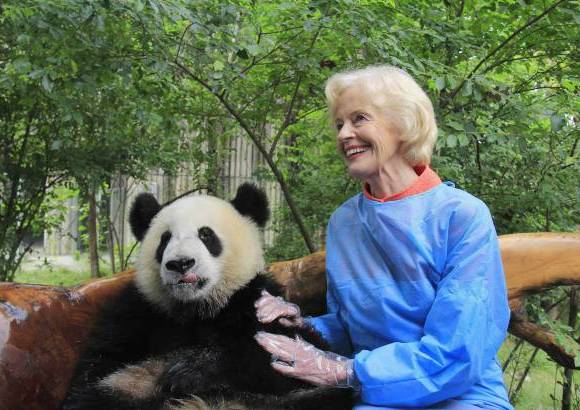 Reuters - La Gobernadora de Australia, Quentin Bryce , posa con un panda gigante en la base de Crianza de Pandas en Chengdu , provincia de Sichuan.