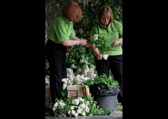Reuters - En los arreglos se destacan las lilas, que representan el primer amor.