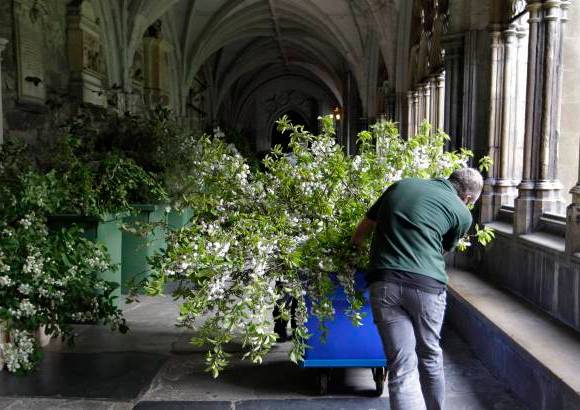 Reuters - Los &#225;rboles, colocados en grandes macetas a lo largo del pasillo central de la abad&#237;a, evocar&#225;n el pueblo natal de la novia, Bucklebur