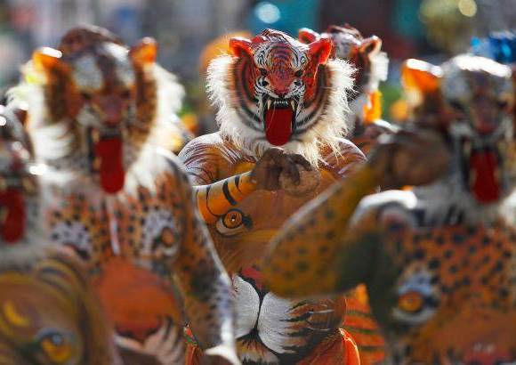AP - Onam es un festival anual hind&#250; celebrado en Kerala, India, dedicado a la cosecha y que se realiza durante el mes de Chingam (Agosto-Septiembre). Una de sus festividades es el Pulikali o la danza del tigre. Los bailarines, entre ellos algunos ni&#241;os, pintan sus cuerpos con la imagen del felino m&#225;s grande del mundo, en una expresi&#243;n cultural que gira en torno al tema de la caza del animal.