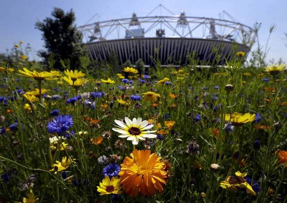AP - Un gran clima acompaña la previa de las justas.