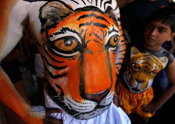 AP - Onam es un festival anual hind&#250; celebrado en Kerala, India, dedicado a la cosecha y que se realiza durante el mes de Chingam (Agosto-Septiembre). Una de sus festividades es el Pulikali o la danza del tigre. Los bailarines, entre ellos algunos ni&#241;os, pintan sus cuerpos con la imagen del felino m&#225;s grande del mundo, en una expresi&#243;n cultural que gira en torno al tema de la caza del animal.