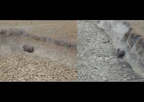 Foto: Heidy Puerta - El Secretario de Agricultura indicó que están trabajando en la conformación del nodo departamental de cambio climático, que va a estar coordinado con el nodo regional. En este punto ya existe un acuerdo en voluntades firmado por el gobernador.