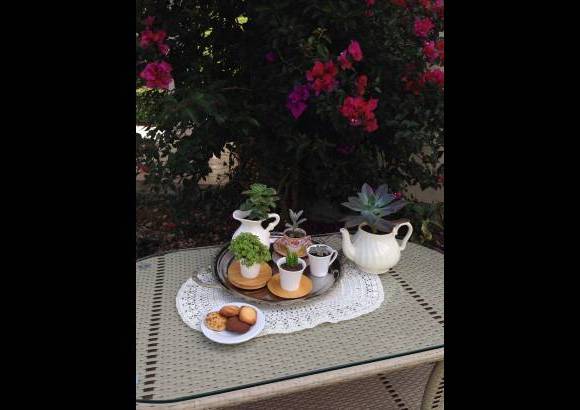 Eukaria Maticas - Objetos propios del hogar sirven como materas.