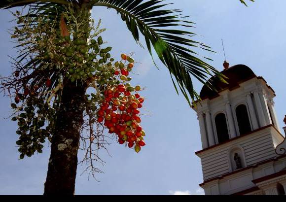 Donaldo Zuluaga - La econom&#237;a de Sopetr&#225;n se fundamenta en el cultivo de las frutas y el ma&#237;z. Tambi&#233;n en la ganader&#237;a y el turismo.