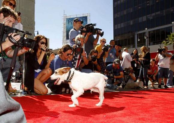 Reuters - Adem&#225;s el pasado mes de febrero fue galardonado con el Collar de Oro de Hollywood.