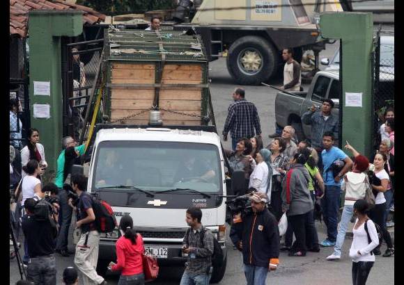 Manuel Saldarriaga - El proceso arrancó hacia las seis de la mañana, cuando el animal fue encerrado en el guacal que había sido instalado en su guarida desde hace 20 días.