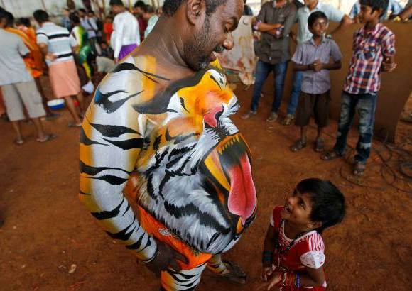 AP - Onam es un festival anual hind&#250; celebrado en Kerala, India, dedicado a la cosecha y que se realiza durante el mes de Chingam (Agosto-Septiembre). Una de sus festividades es el Pulikali o la danza del tigre. Los bailarines, entre ellos algunos ni&#241;os, pintan sus cuerpos con la imagen del felino m&#225;s grande del mundo, en una expresi&#243;n cultural que gira en torno al tema de la caza del animal.
