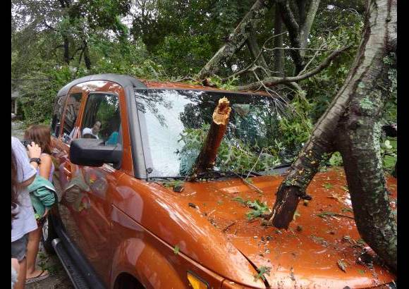 Reuters - Los vientos y las lluvias han dejado &#225;rboles ca&#237;dos, l&#237;neas de electricidad cortadas y numerosos escombros.