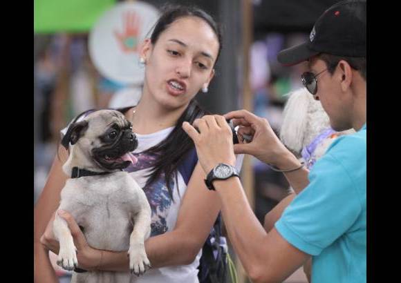 Hern&#225;n Vanega Ochoa - Encuentro de mascotas en el Jard&#237;n Bot&#225;nico de Medell&#237;n.