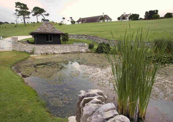 Reuters - Ese entusiasmo por las villas suntuosas impuls&#243; al emprendedor Dotcom a intentar adquirir sin &#233;xito y por 25 millones de d&#243;lares, la vivienda de Coatesville que al final alquil&#243; para resarcirse de la desilusi&#243;n que sufri&#243; al no poder comprarla a causa de las trabas que le puso la Administraci&#243;n neozelandesa.