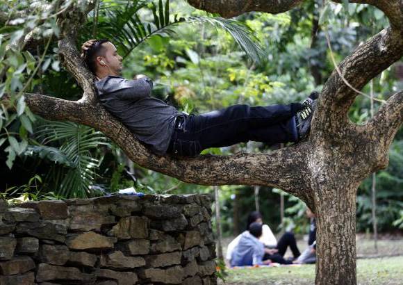 FOTO EL COLOMBIANO - El Jardín Botánico Joaquín Antonio Uribe es un espacio de encuentro natural en medio de la ciudad, ideal para el conocimiento, el descanso y la relajación. Declarado Patrimonio Cultural de Medellín, es uno de los más bellos sitios de Antioquia, el país y el mundo dedicados a la botánica.