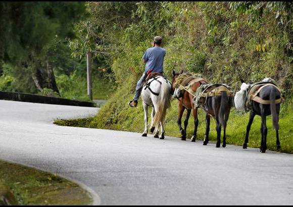 Juan Antonio S&#225;nchez - Esta ruta, que por muchos llev&#243; a las regiones de Occidente y Urab&#225;, fue pr&#225;cticamente abandonada cuando empez&#243; a funcionar el T&#250;nel. S&#243;lo el a&#241;o pasado se recuper&#243; la v&#237;a.