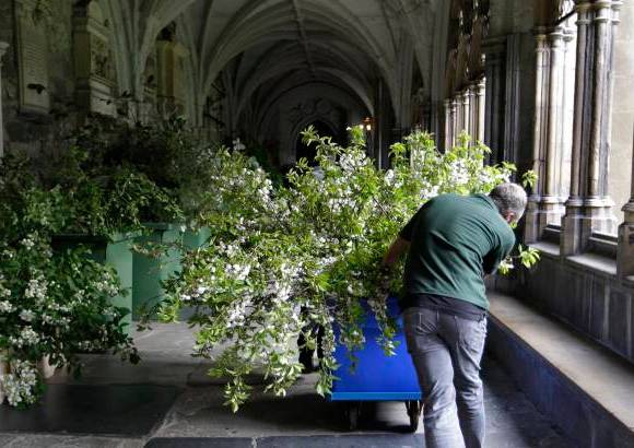AP - Para la decoraci&#243;n de la iglesia se utilizar&#225;n m&#225;s de cuatro toneladas de follaje, incluidos ocho grandes &#225;rboles.