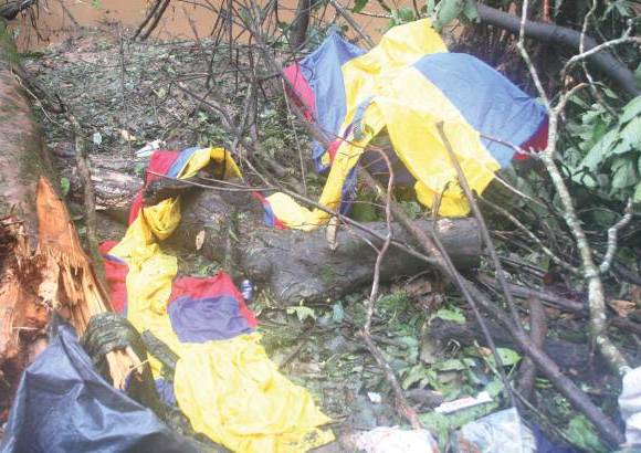 Cortesía- Imágenes sensibles - En el bombardeo aéreo se logró destruir el campamento de alias Mono Jojoy.