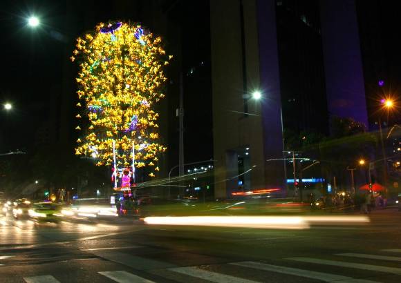 Juan Sebasti&#225;n Carvajal Beltr&#225;n - Un guayac&#225;n de 24 metros de alto llena de luz la Avenida Oriental con La Playa.