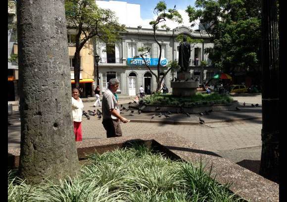 - En la Plazuela San Ignacio los habitantes le dan de comer a las palomas, cambiando sus h&#225;bitos alimenticios.
