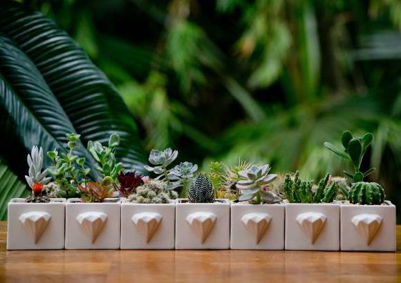 Habibi Plantitas - Materas con significado. Los diamantes: riqueza, prosperidad y amor.