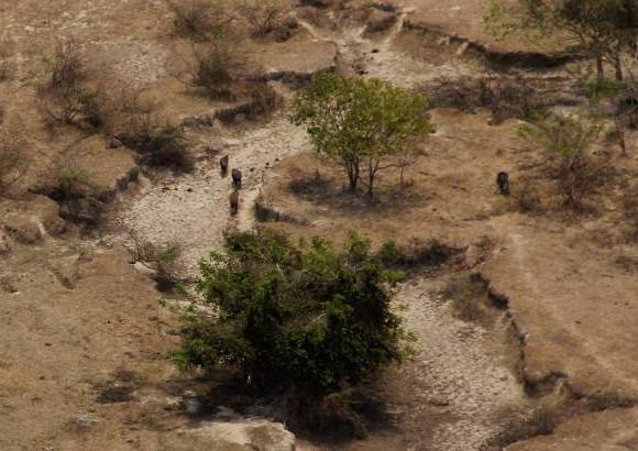 Foto: Luisa Gonz&#225;lez - Colprensa - Aunque no se conoce a ciencia cierta qu&#233; cantidad de agua hay bajo los suelos del Casanare, ni de Paz de Ariporo, las actividades de exploraci&#243;n y explotaci&#243;n de hidrocarburos requieren de un caudal permanente para su funcionamiento.