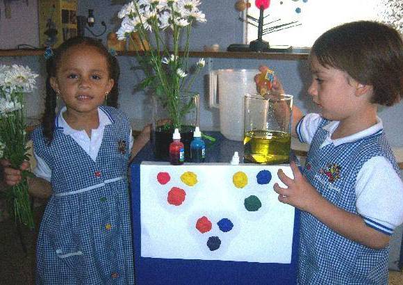 - Con plastilina y anilinas a los ni&#241;os se les ense&#241;a el reconocimiento de los colores y a crearlos cuando desde su curiosidad y con apoyo de su profesora los combinan.