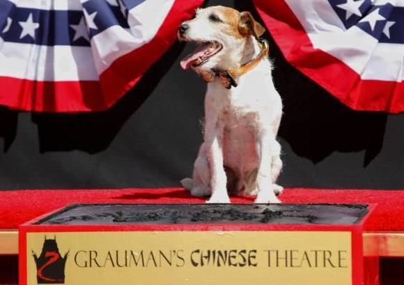 AP - Uggie, el perro de la famosa pel&#237;cula El artista, dej&#243; plasmadas las huellas de sus patas en el Teatro Chino de Hollywood.