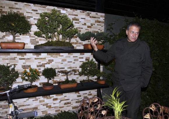 Foto Manuel Saldarriaga - Una de sus pasiones es coleccionar bons&#225;i, los cuales est&#225;n perfectamente ubicados en el patio de su casa.
