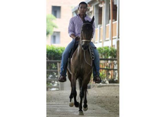 Robinson S&#225;enz - Caballo criollo colombiano, trot&#243;n.