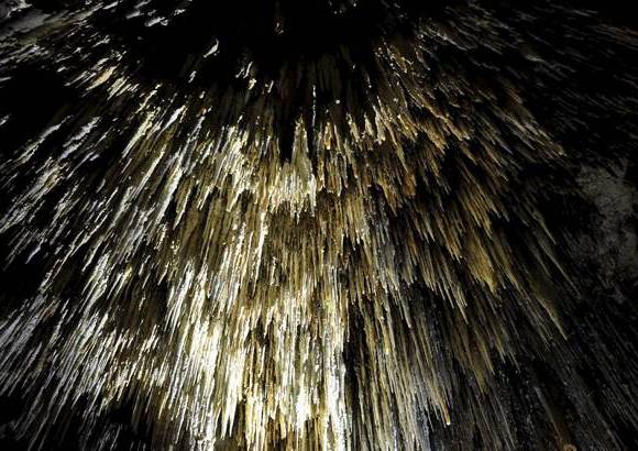 Cortes&#237;a - Del techo cuelgan estalactitas y del suelo se vislumbran estalagmitas con brillos naturales sorprendentes que a veces parecen cuarzos que forman rugosidades de distintas formas y tama&#241;os.