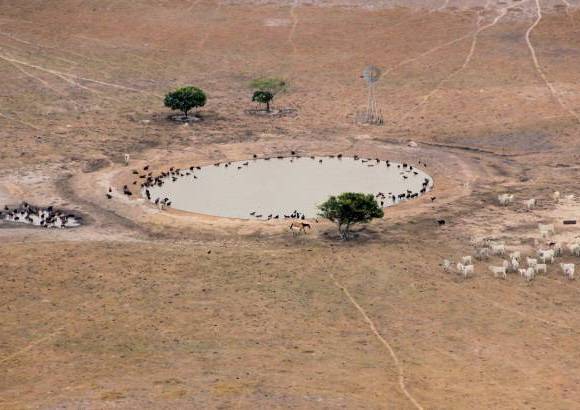 Foto: Luisa Gonz&#225;lez - Colprensa - A pesar de ser una zona donde llueve mucho en un periodo, el problema est&#225; en los suelos, que tienen una baja capacidad de retenci&#243;n de humedad.