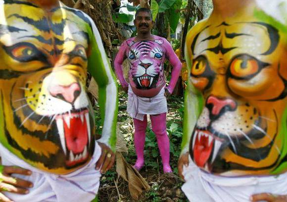 REUTERS - Onam es un festival anual hind&#250; celebrado en Kerala, India, dedicado a la cosecha y que se realiza durante el mes de Chingam (Agosto-Septiembre). Una de sus festividades es el Pulikali o la danza del tigre. Los bailarines, entre ellos algunos ni&#241;os, pintan sus cuerpos con la imagen del felino m&#225;s grande del mundo, en una expresi&#243;n cultural que gira en torno al tema de la caza del animal.