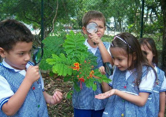 - Si aparece un insecto o una planta florece es la oportunidad para mostrar su conformaci&#243;n a los chicos y chicas de preescolar. Con ayuda de las lupas pueden saber cu&#225;ntas patitas tiene una ara&#241;a o contar lo p&#233;talos de una flor.