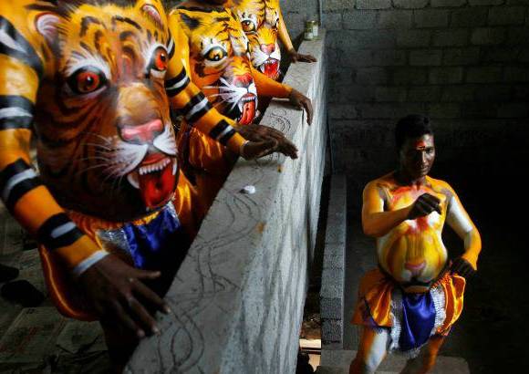 REUTERS - Onam es un festival anual hind&#250; celebrado en Kerala, India, dedicado a la cosecha y que se realiza durante el mes de Chingam (Agosto-Septiembre). Una de sus festividades es el Pulikali o la danza del tigre. Los bailarines, entre ellos algunos ni&#241;os, pintan sus cuerpos con la imagen del felino m&#225;s grande del mundo, en una expresi&#243;n cultural que gira en torno al tema de la caza del animal.