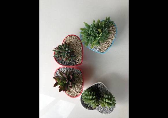 Verde Menta - Todos los materiales sirven como recipiente.