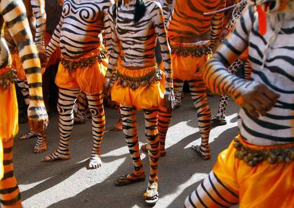 REUTERS - Onam es un festival anual hind&#250; celebrado en Kerala, India, dedicado a la cosecha y que se realiza durante el mes de Chingam (Agosto-Septiembre). Una de sus festividades es el Pulikali o la danza del tigre. Los bailarines, entre ellos algunos ni&#241;os, pintan sus cuerpos con la imagen del felino m&#225;s grande del mundo, en una expresi&#243;n cultural que gira en torno al tema de la caza del animal.