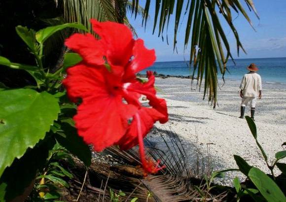 FOTO MANUEL SALDARRIAGA - Declarada Patrimonio de la Humanidad por la Unesco, la isla Gorgona cuenta con 155 especies de aves, 41 de reptiles y 17 de mamíferos.