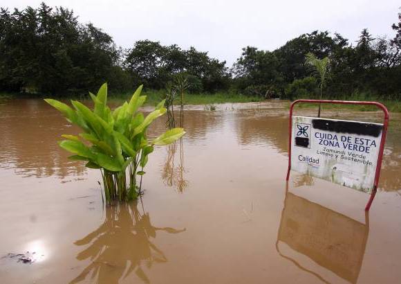 Colprensa - El agua, de más de un metro de altura, destruyó cultivos en Jamundí.