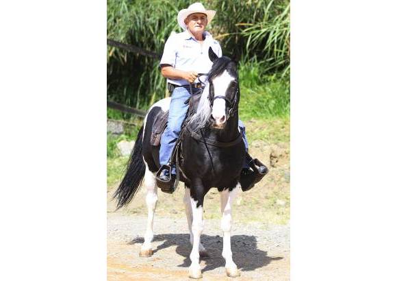 Robinson S&#225;enz - Raza Pinto Americano.