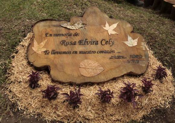 Colprensa-Christian Castillo - Familiares, amigos, docentes y compañeros de Rosa Elvira Cely, se unieron al homenaje que el IDRD y el Jardín Botánico organizaron, en el Parque Nacional de Bogotá, para recordar a esta mujer y a todas las que han sido victimas del maltrato y el abuso.
